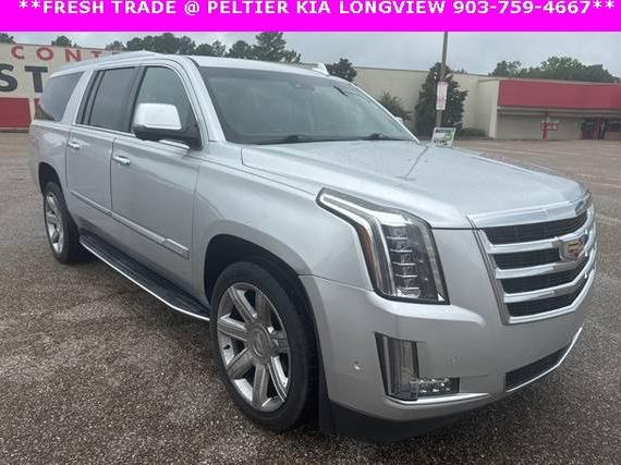 CADILLAC ESCALADE ESV 2020 1GYS4HKJ1LR121101 image